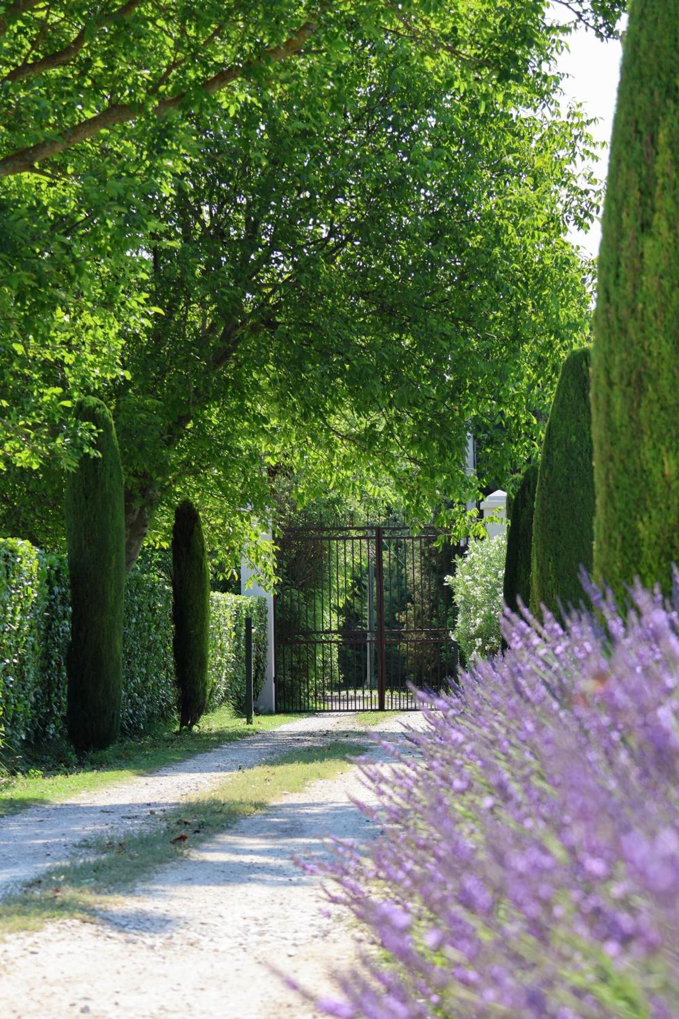 Domaine Du Moulin De Villefranche Pernes-les-Fontaines Exteriör bild
