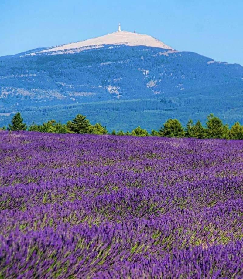Domaine Du Moulin De Villefranche Pernes-les-Fontaines Exteriör bild